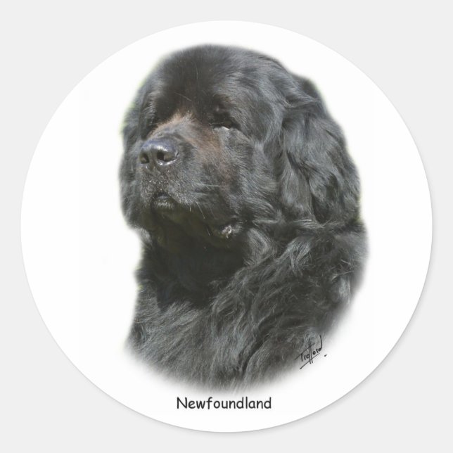 Newfoundland Classic Round Sticker (Front)