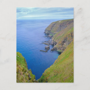 Newfoundland Coastline Postcard