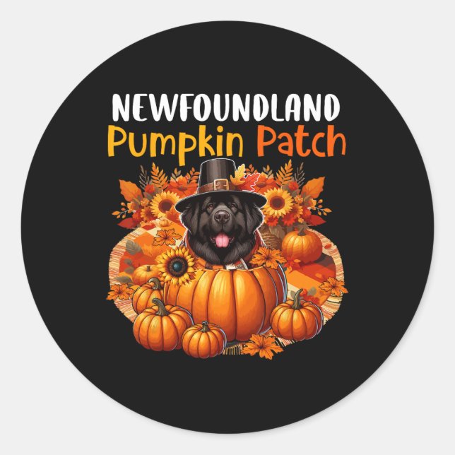 Newfoundland Cute Patch Thanksgiving Pumpkins Fall Classic Round Sticker (Front)