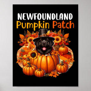 Newfoundland Cute Patch Thanksgiving Pumpkins Fall Poster