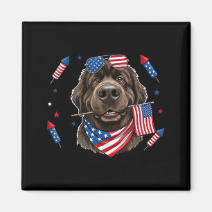 Newfoundland Dog Aamerican Usa Flag Memorial Day Magnet