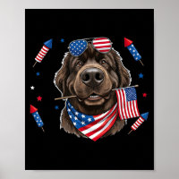 Newfoundland Dog Aamerican Usa Flag Memorial Day