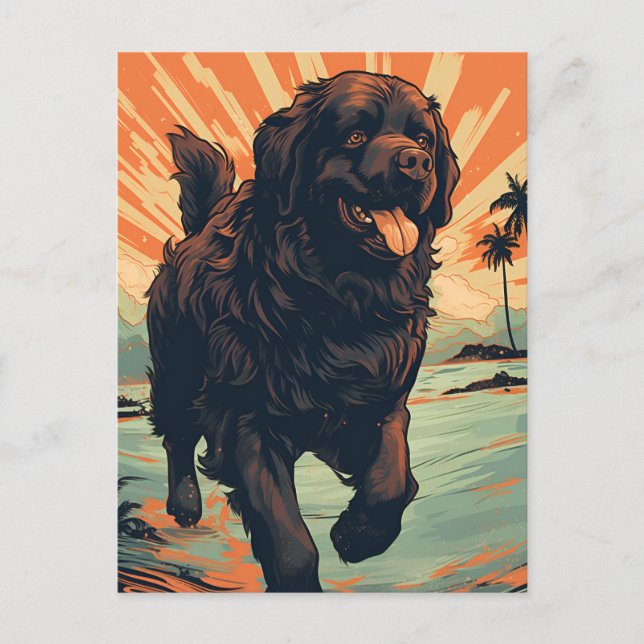 Newfoundland-dog at the beach postcard (Front)