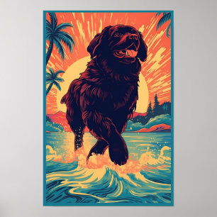 Newfoundland dog at the beach poster