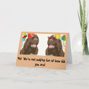 Newfoundland Dog Birthday humour Card