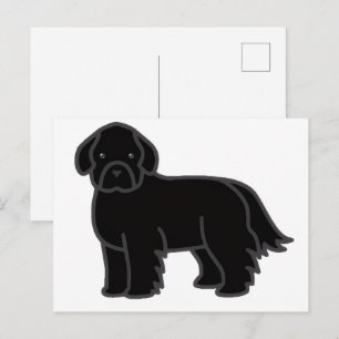 Newfoundland Dog Black Cartoon Postcard