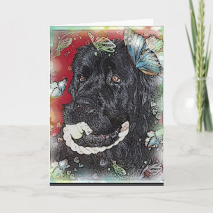 Newfoundland Dog Blank greeting Card
