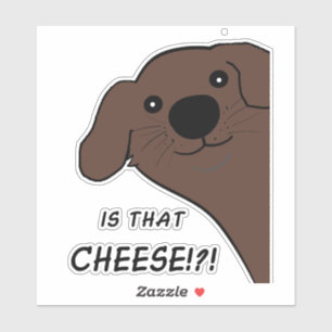 Newfoundland Dog Brown Is That Cheese Die Cut
