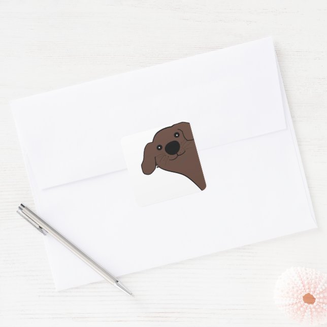 Newfoundland Dog Brown Peeking Cartoon Square Sticker (Envelope)