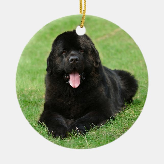 Newfoundland dog ceramic ornament (Front)