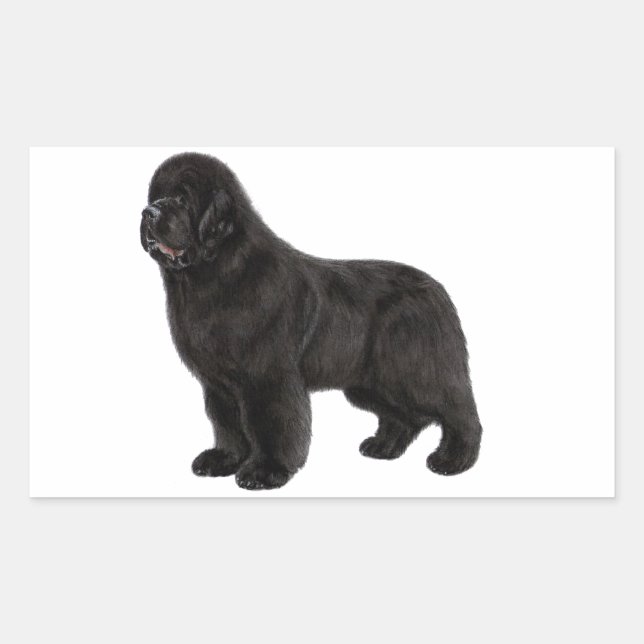Newfoundland Dog Charcoal Drawing Rectangular Sticker (Front)