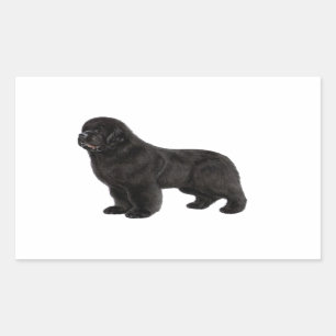 Newfoundland Dog Charcoal Drawing Rectangular Sticker