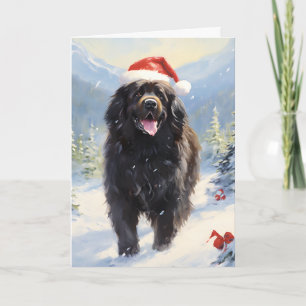 Newfoundland dog Christmas Card