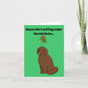 Newfoundland Dog Christmas Card