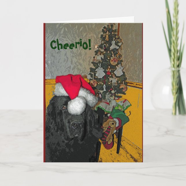 Newfoundland Dog Christmas Card (Front)