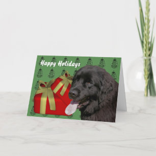 Newfoundland Dog Christmas Holiday Card