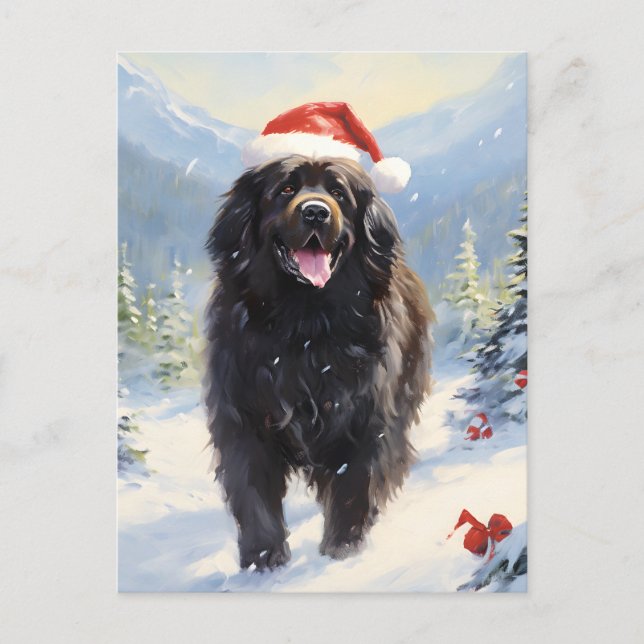 Newfoundland dog Christmas Holiday Postcard (Front)