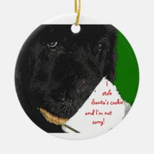 Newfoundland dog Christmas ornament