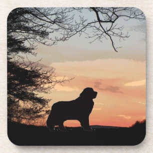 Newfoundland dog coasters