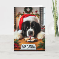 Newfoundland Dog Cookie Lick Christmas Card