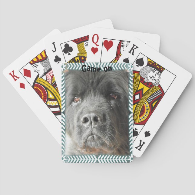 Newfoundland Dog deck of cards (Back)