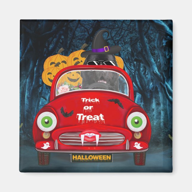Newfoundland Dog Driving Car Scary Halloween Magnet (Front)