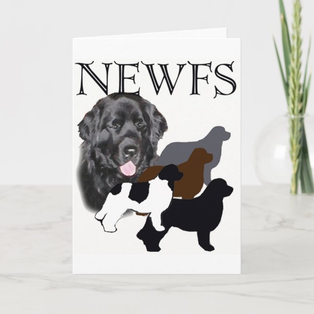 Newfoundland dog four colours card (Front)