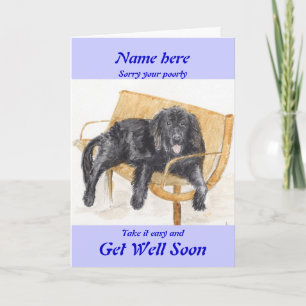 Newfoundland Dog Get Well Soon card add name