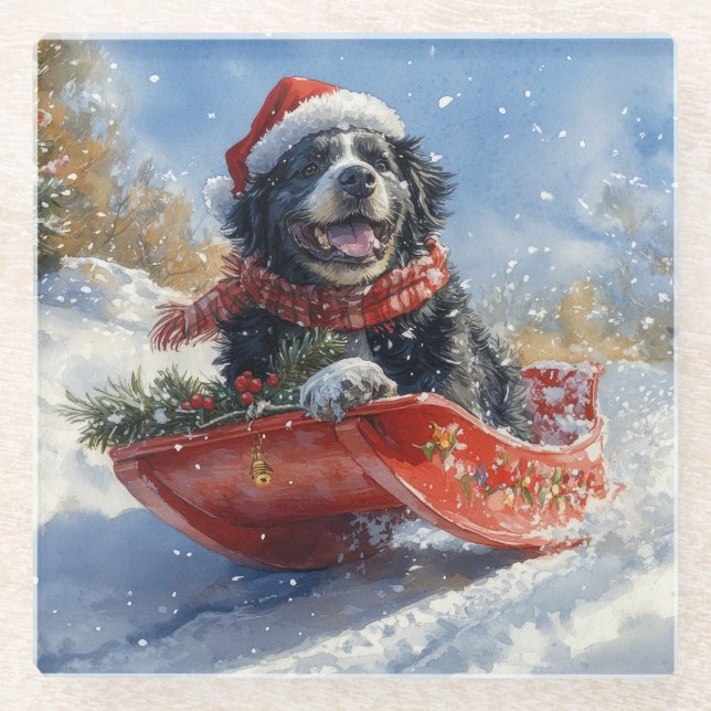 Newfoundland Dog in Sledge Let it Snow Christmas Glass Coaster (Front)