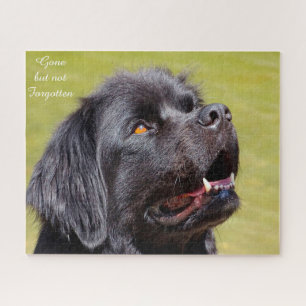 Newfoundland Dog. Jigsaw Puzzle