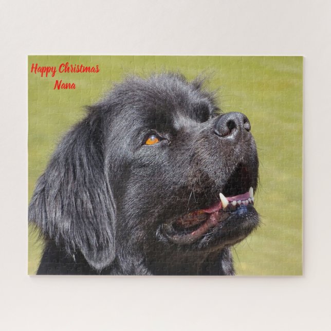 Newfoundland Dog. Jigsaw Puzzle (Horizontal)