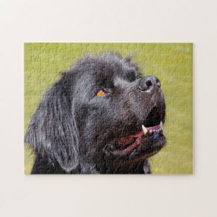 Newfoundland Dog. Jigsaw Puzzle