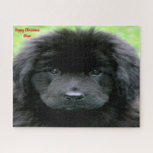 Newfoundland Dog. Jigsaw Puzzle