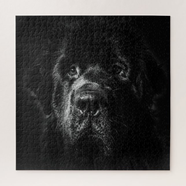 Newfoundland dog Jigsaw puzzle (Vertical)