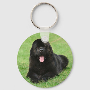 Newfoundland dog key ring
