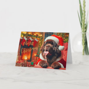 Newfoundland Dog Licking a Candy Cane Card