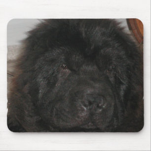 Newfoundland Dog Mouse Pad