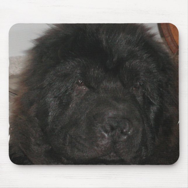 Newfoundland Dog Mouse Pad (Front)
