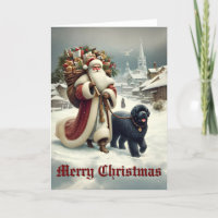 Newfoundland Dog & Old-Style Santa