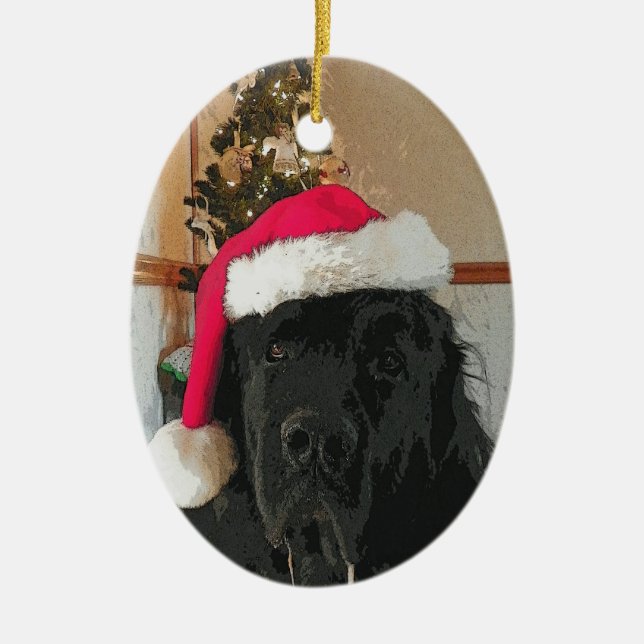 Newfoundland Dog Ornament (Front)