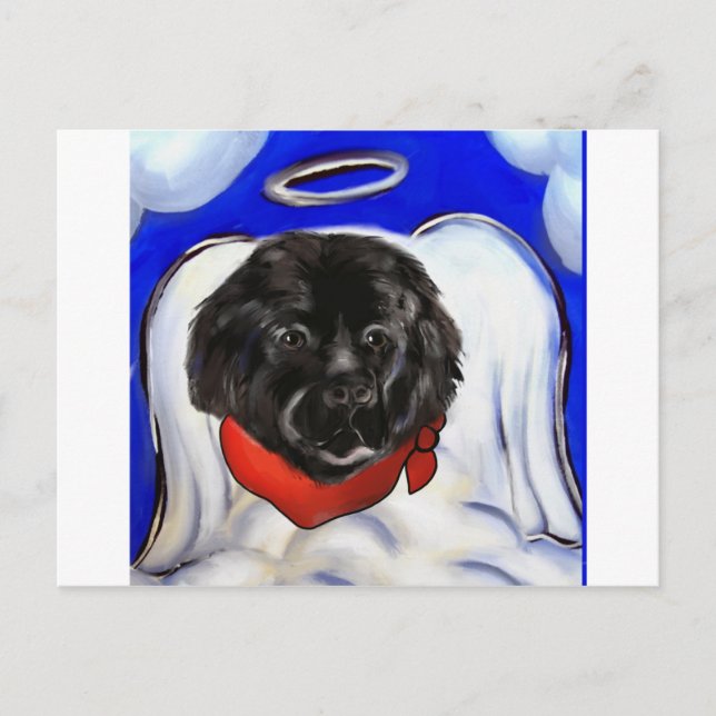 Newfoundland Dog Postcard (Front)