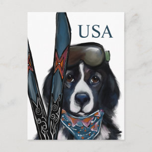 NEWFOUNDLAND DOG  POSTCARD