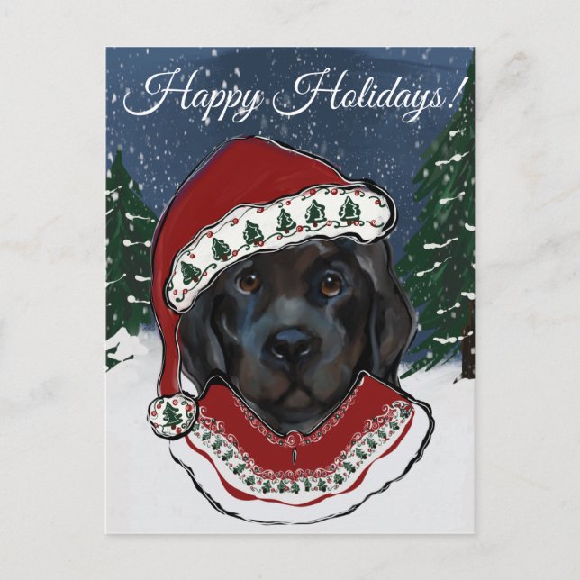 Newfoundland Dog   Postcard (Front)