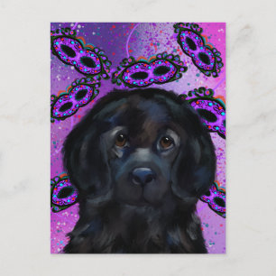 Newfoundland Dog                Postcard