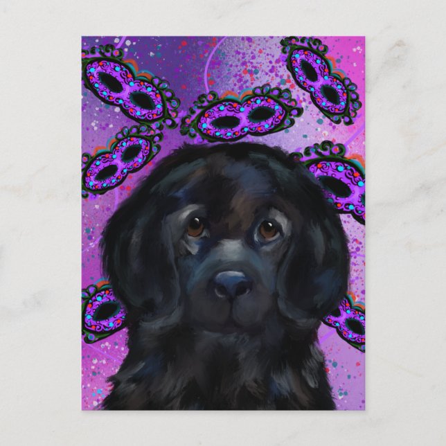 Newfoundland Dog                Postcard (Front)