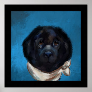 Newfoundland Dog                Poster