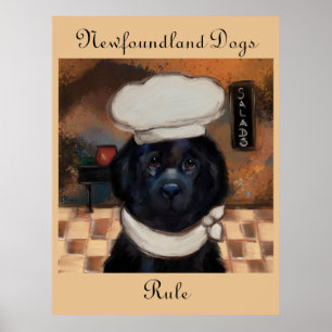 Newfoundland Dog Poster