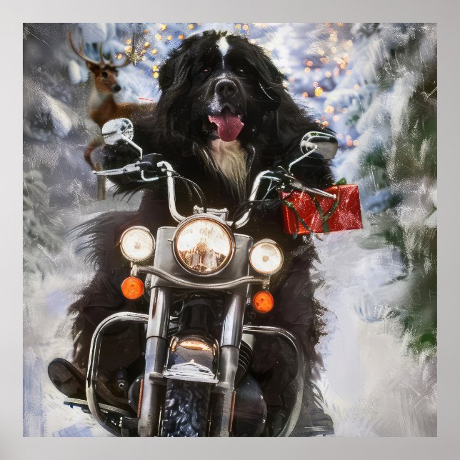 Newfoundland Dog Riding Motorcycle Christmas  Poster (Front)