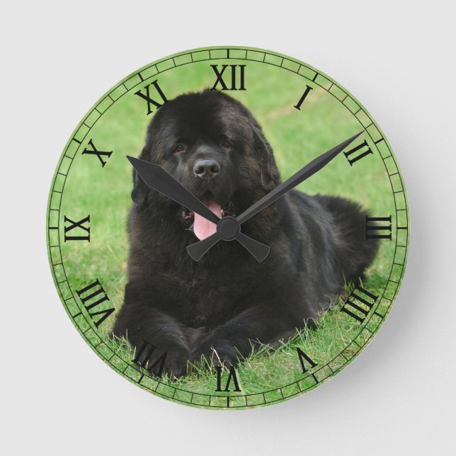 Newfoundland dog round clock (Front)