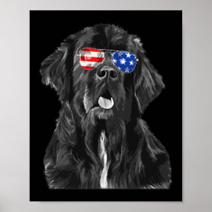 Newfoundland Dog Sungles Flag American 4th Of July Poster